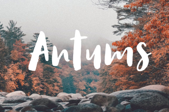 Antums: A Hand Drawn Brush Font for Editorial Warmth