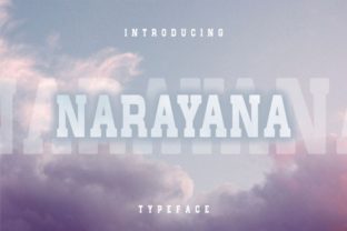 Narayana Serif Font for Professional Small Business Branding
