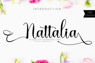 Nattalia Script Font for Upscale Digital Branding