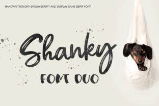 Shanky: A Script and Sans Font Duo for Modern Web Design
