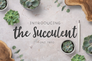The Succulent Trio: A Versatile Script Handwritten Font for Designers