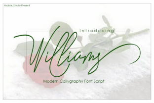 Williams: A Script Font for Editorial Elegance